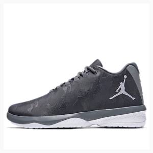 Nike B.Fly X Koripallokengät Miesten Air Jordan Harmaat | JD-784ZB