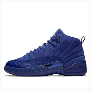 Nike Retro Koripallokengät Miesten Air Jordan 12 Tummansininen | JD-301IN