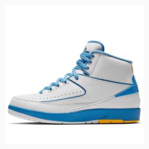 Nike Retro Melo Koripallokengät Miesten Air Jordan 2 Valkoinen Sininen | JD-624MD
