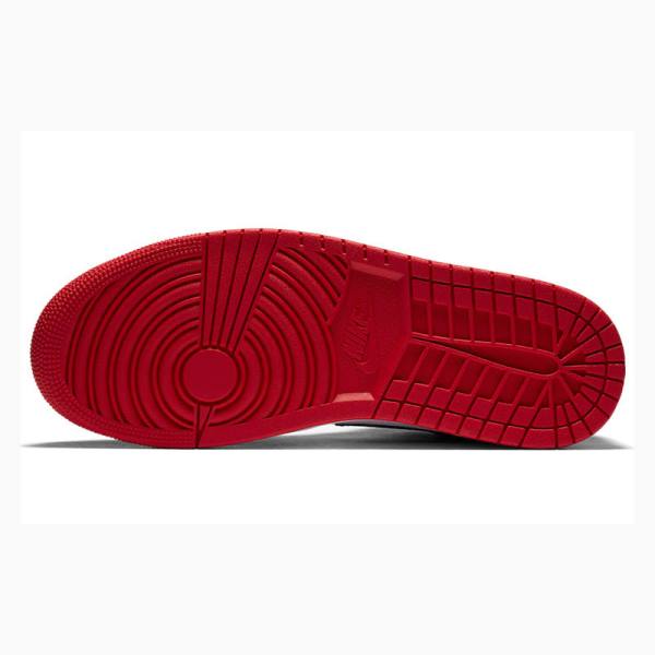 Nike Mid SE Olympic Koripallokengät Miesten Air Jordan 1 Valkoinen Sininen | JD-863IE