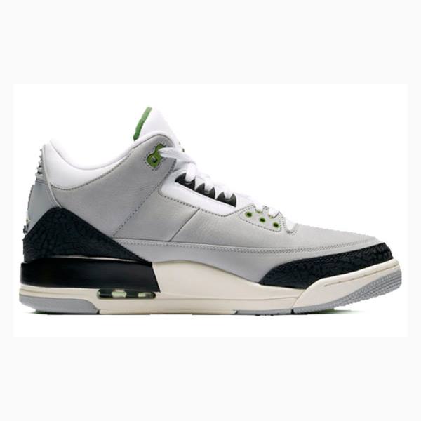 Nike Retro Chlorophyll Koripallokengät Miesten Air Jordan 3 Harmaat Mustat | JD-207TQ