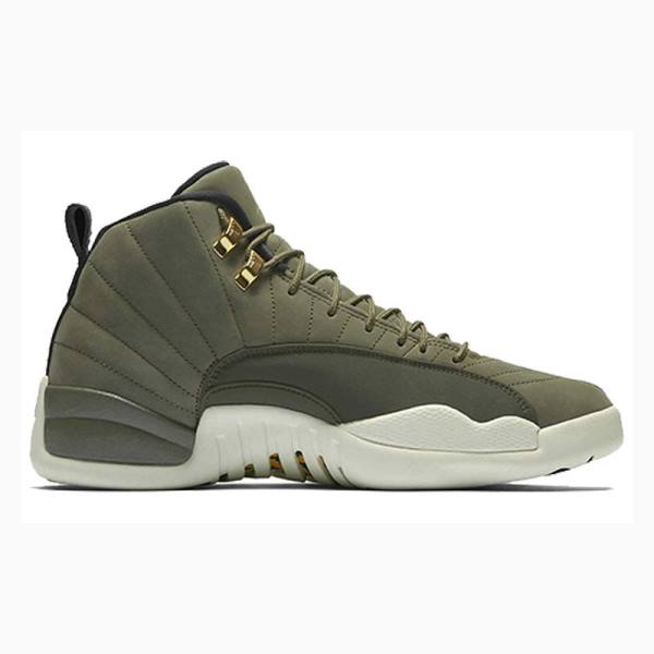 Nike Retro Chris Paul - Class of 2003 Koripallokengät Miesten Air Jordan 12 Vihreä | JD-178NF