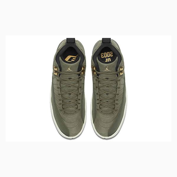 Nike Retro Chris Paul - Class of 2003 Koripallokengät Miesten Air Jordan 12 Vihreä | JD-178NF