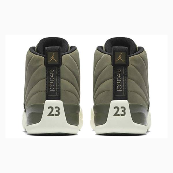Nike Retro Chris Paul - Class of 2003 Koripallokengät Miesten Air Jordan 12 Vihreä | JD-178NF