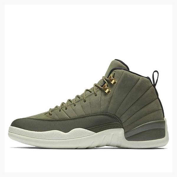Nike Retro Chris Paul - Class of 2003 Koripallokengät Miesten Air Jordan 12 Vihreä | JD-178NF