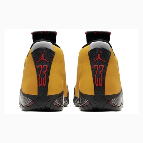 Nike Retro Ferrari Koripallokengät Miesten Air Jordan 14 Kultaiset Mustat | JD-351ZV