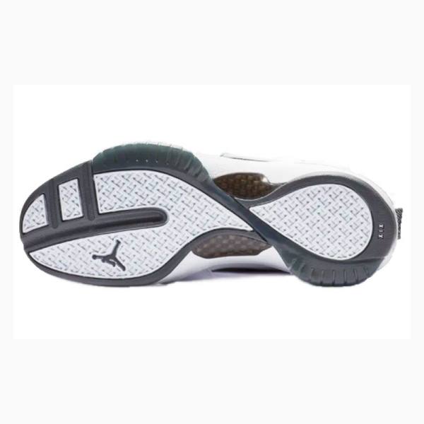 Nike Retro Flint Grey Koripallokengät Miesten Air Jordan 19 Valkoinen Mustat | JD-785LP