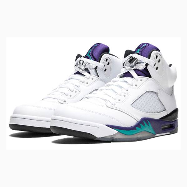Nike Retro Grape Koripallokengät Miesten Air Jordan 5 Valkoinen Violetit | JD-850WE