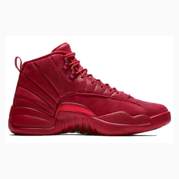 Nike Retro Gym Koripallokengät Miesten Air Jordan 12 Punainen | JD-058FD