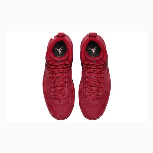 Nike Retro Gym Koripallokengät Miesten Air Jordan 12 Punainen | JD-058FD