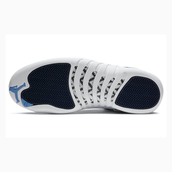 Nike Retro Indigo Koripallokengät Miesten Air Jordan 12 Valkoinen Sininen | JD-462PW