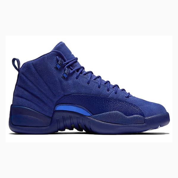 Nike Retro Koripallokengät Miesten Air Jordan 12 Tummansininen | JD-301IN