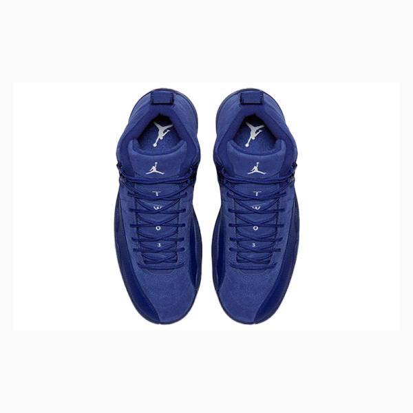 Nike Retro Koripallokengät Miesten Air Jordan 12 Tummansininen | JD-301IN