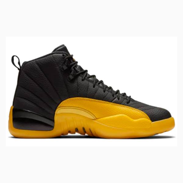 Nike Retro Koripallokengät Miesten Air Jordan 12 Kultaiset Mustat | JD-401WY