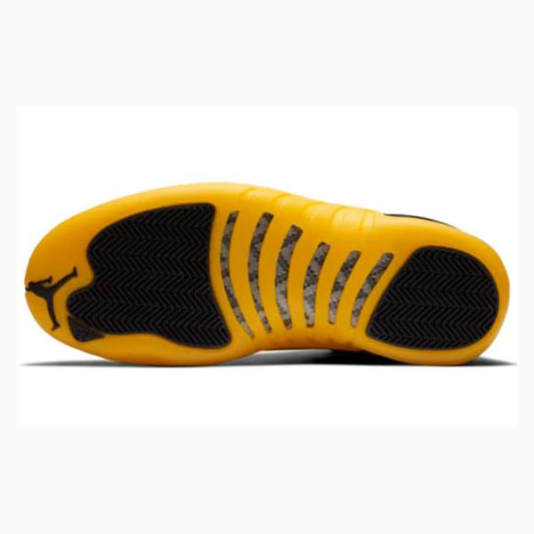 Nike Retro Koripallokengät Miesten Air Jordan 12 Kultaiset Mustat | JD-401WY