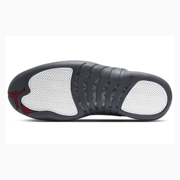 Nike Retro Koripallokengät Miesten Air Jordan 12 Valkoinen Tummanharmaat | JD-604UW