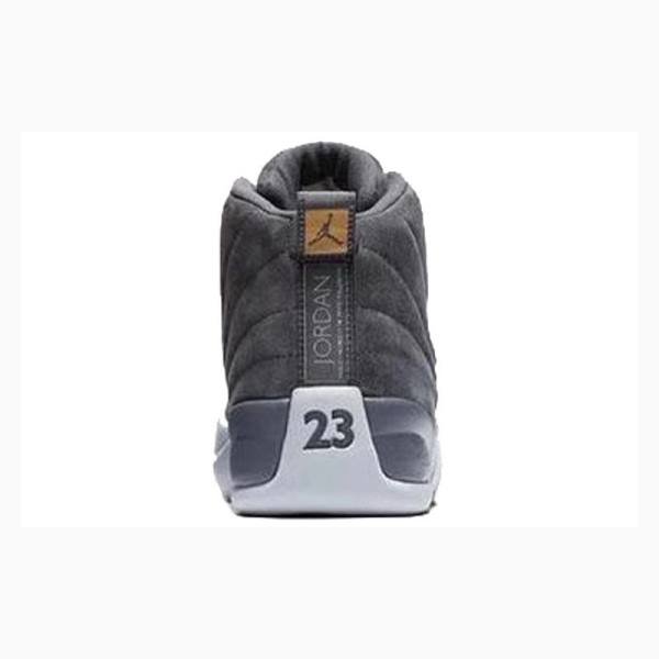 Nike Retro Koripallokengät Miesten Air Jordan 12 Tummanharmaat | JD-843YP