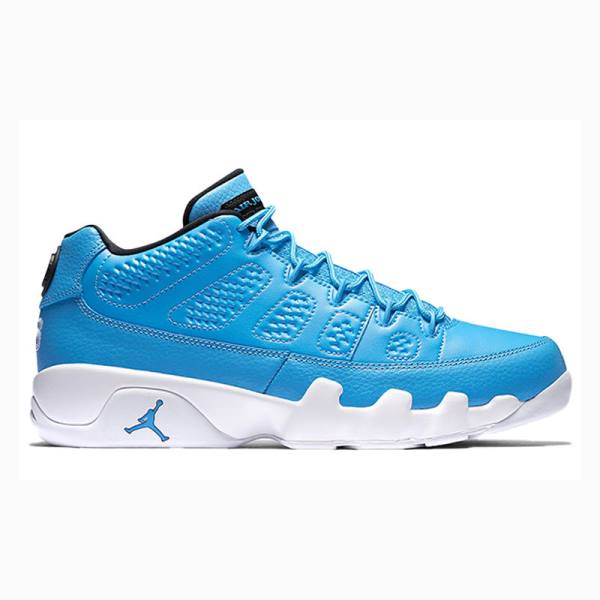 Nike Retro Low Pantone Tennarit Miesten Air Jordan 9 Sininen | JD-025FI