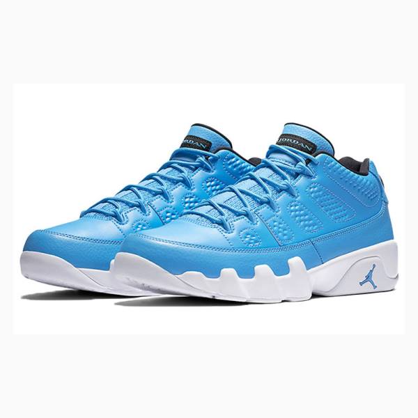 Nike Retro Low Pantone Tennarit Miesten Air Jordan 9 Sininen | JD-025FI