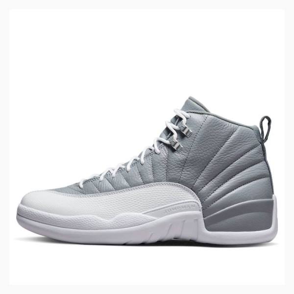 Nike Retro Stealth Koripallokengät Miesten Air Jordan 12 Harmaat | JD-025SN