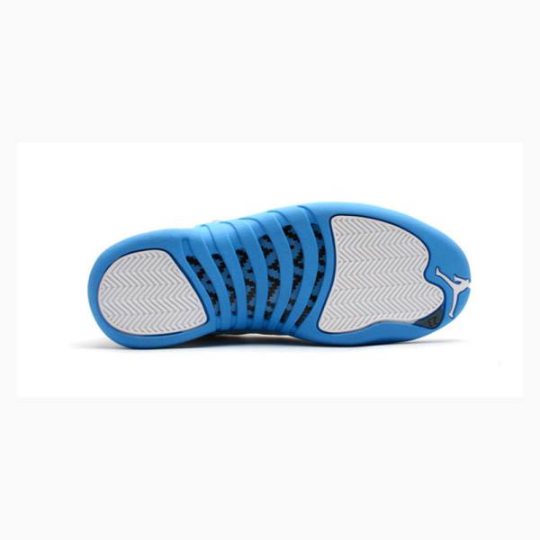 Nike Retro UNC Koripallokengät Naisten Air Jordan 12 Valkoinen Sininen | JD-435EI