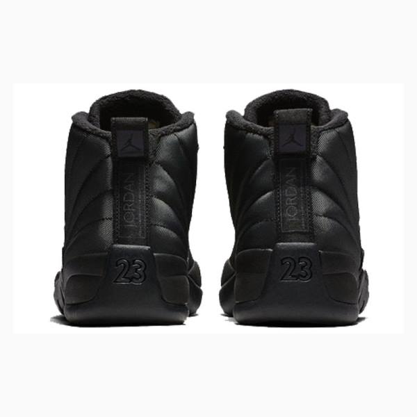 Nike Retro WNTR Winterized - Anthracite Koripallokengät Miesten Air Jordan 12 Mustat | JD-145PW