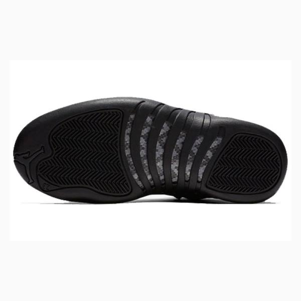 Nike Retro WNTR Winterized - Anthracite Koripallokengät Miesten Air Jordan 12 Mustat | JD-145PW