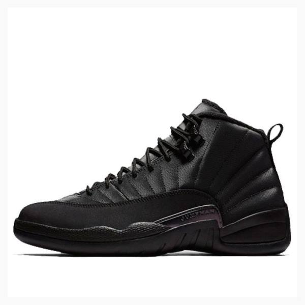 Nike Retro WNTR Winterized - Anthracite Koripallokengät Miesten Air Jordan 12 Mustat | JD-145PW