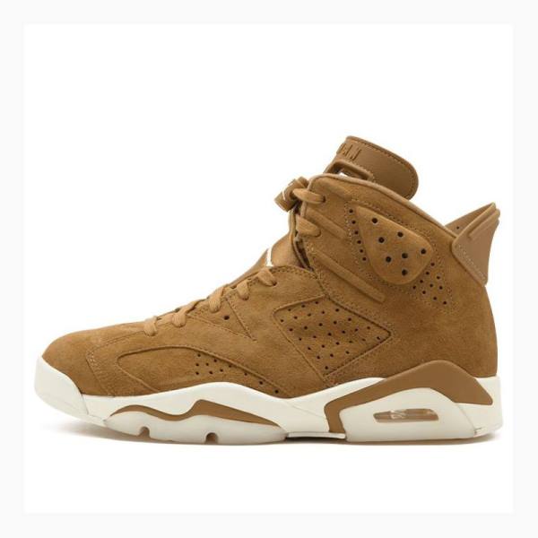 Nike Retro Wheat Koripallokengät Miesten Air Jordan 6 Ruskea | JD-027NC