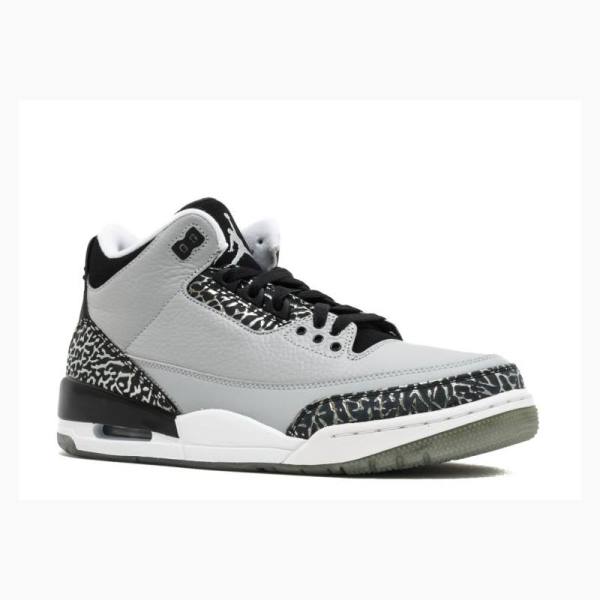 Nike Retro Wolf Koripallokengät Miesten Air Jordan 3 Harmaat | JD-560UI
