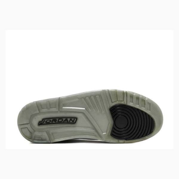 Nike Retro Wolf Koripallokengät Miesten Air Jordan 3 Harmaat | JD-560UI