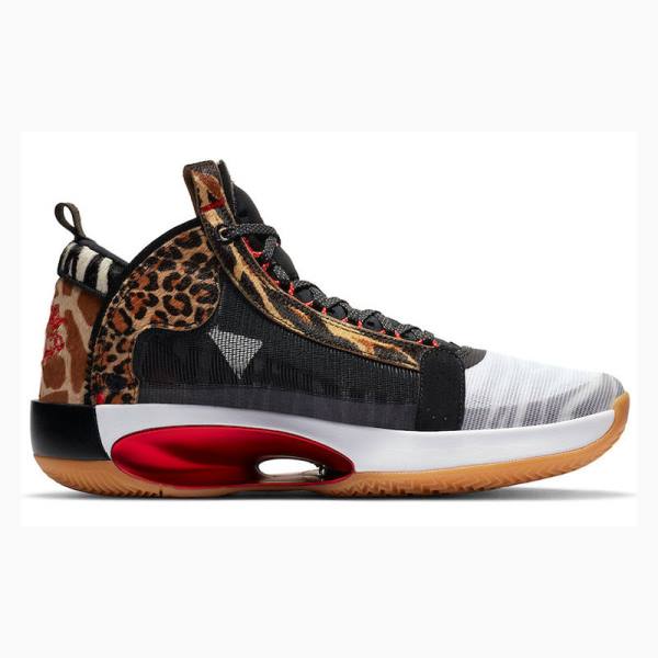 Nike Tatum PE Welcome To The Zoo Koripallokengät Miesten Air Jordan 34 Monivärinen | JD-316LG