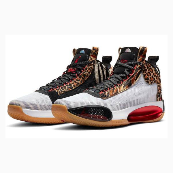 Nike Tatum PE Welcome To The Zoo Koripallokengät Miesten Air Jordan 34 Monivärinen | JD-316LG