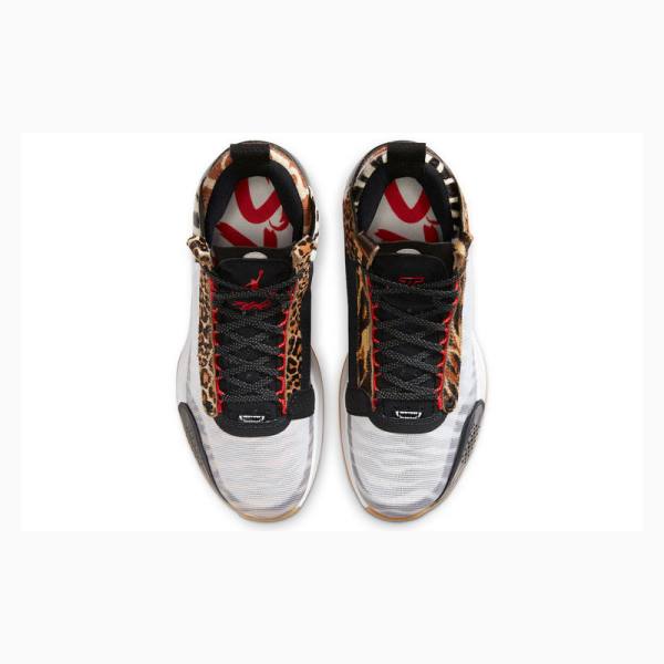 Nike Tatum PE Welcome To The Zoo Koripallokengät Miesten Air Jordan 34 Monivärinen | JD-316LG