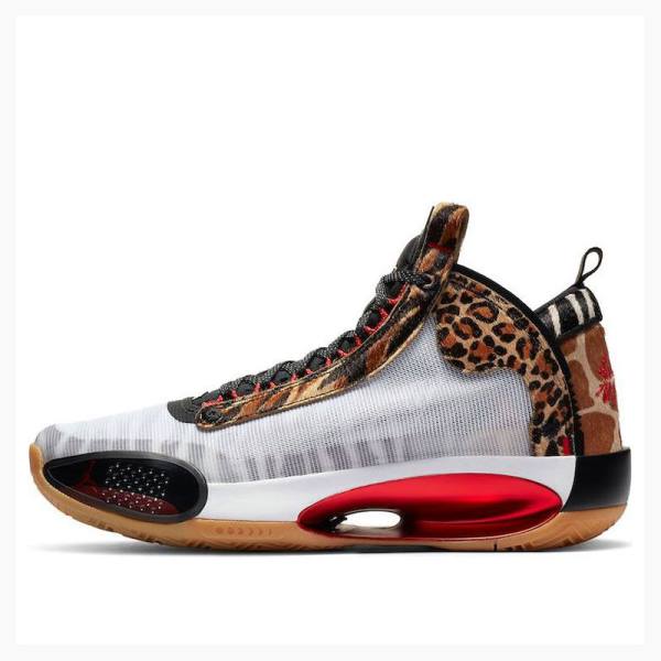 Nike Tatum PE Welcome To The Zoo Koripallokengät Miesten Air Jordan 34 Monivärinen | JD-316LG