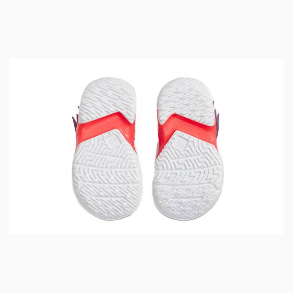 Nike Why Not Zer03 SE 3 TD Koripallokengät Naisten Air Jordan Harmaat Violetit Punainen | JD-534PZ