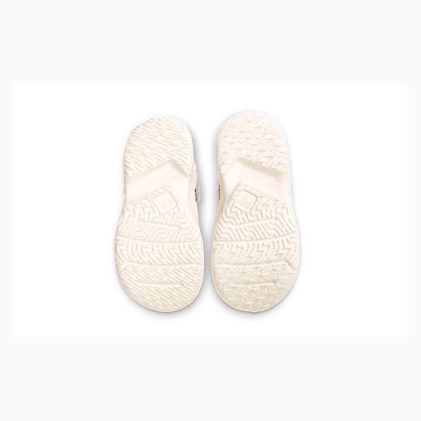 Nike Why Not Zer03 Washed Coral 3 TD Koripallokengät Naisten Air Jordan Pinkki | JD-937MY