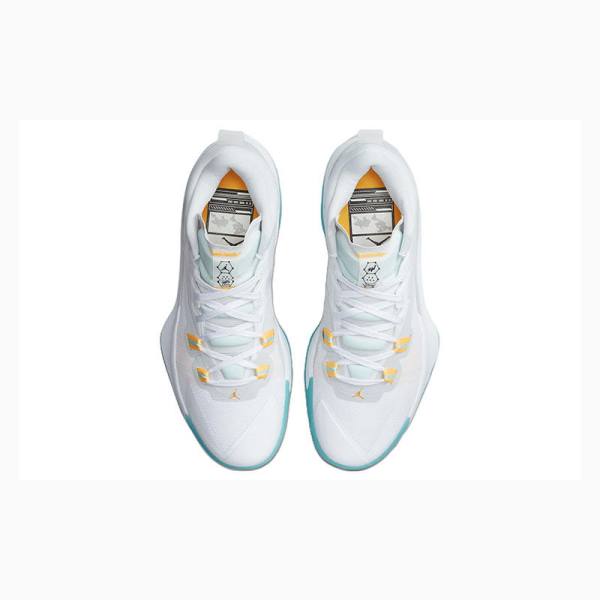 Nike Zion 1 PF Koripallokengät Miesten Air Jordan Valkoinen Sininen | JD-039WG