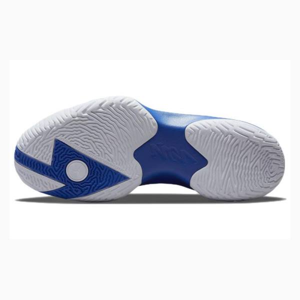 Nike Zion 1 PF Koripallokengät Miesten Air Jordan Mustat Sininen | JD-410EF