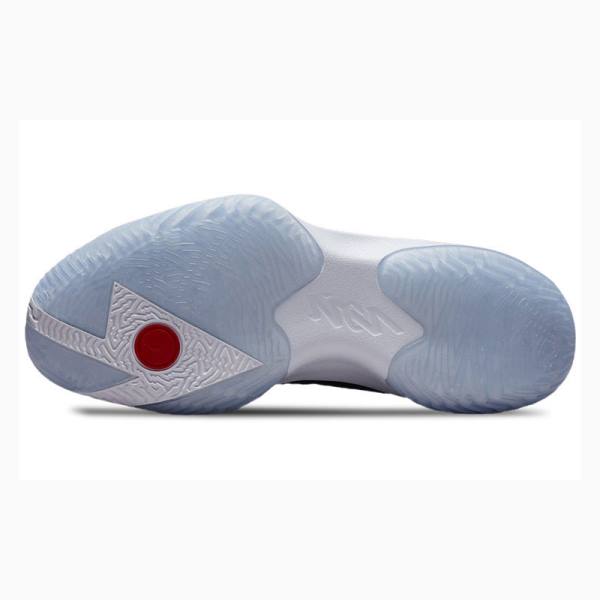 Nike Zion 1 PF USA Koripallokengät Miesten Air Jordan Sininen Kultaiset Punainen | JD-407OR