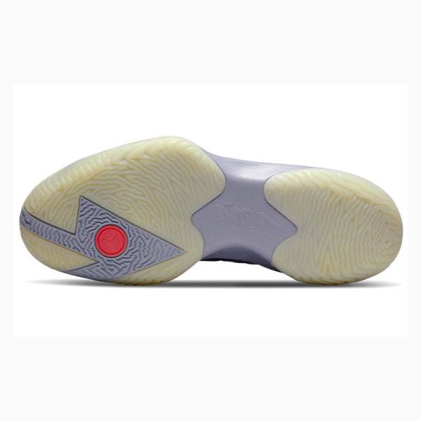 Nike Zion 1 PF ZNA Koripallokengät Miesten Air Jordan Sininen Violetit | JD-856GA