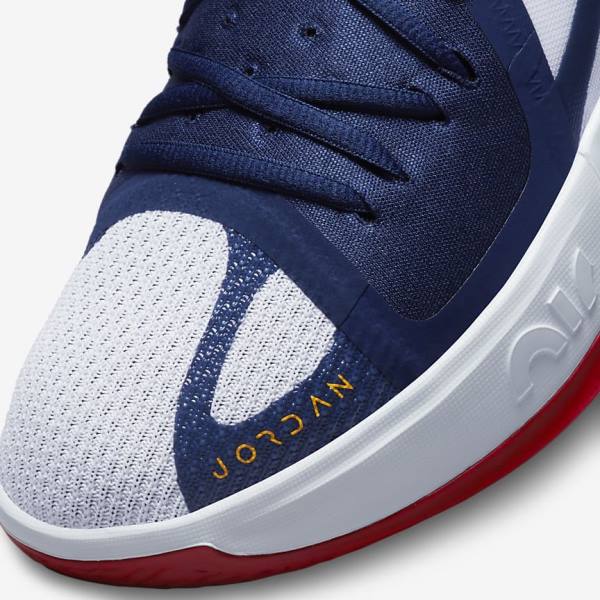Nike Zoom Separate Miesten Air Jordan Laivastonsininen Valkoinen Punainen Kultaiset | NK895XWY